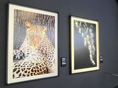 -罗红摄影艺术馆