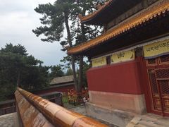 普乐寺-普乐寺
