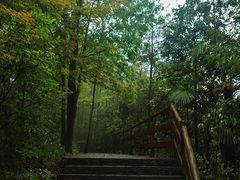 -武隆天坑寨子景区
