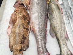 -国惠大酒楼(宝龙店)