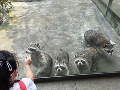 -森波拉奇妙世界