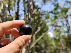 -福建鲤鱼洲酒店