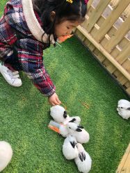 -萌宠亲子动物乐园(槐房万达店)