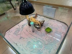 -小象动悟公园(龙湖亦庄天街店)