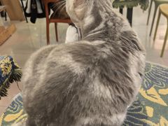 -平行世界·猫咖(首经贸店)