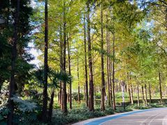 -苏州河梦清园环保主题公园