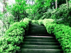 -南山植物园
