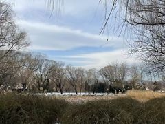 -颐和园