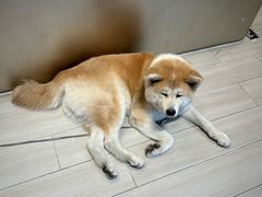 -YCHL Studios健身工作室(市二宫店)