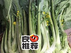 -荔枝红五号农庄