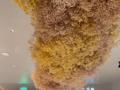 -湘上湘(正大中心总店)
