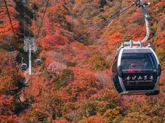-光雾山旅游景区