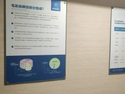 -碧莲盛·不剃发植发
