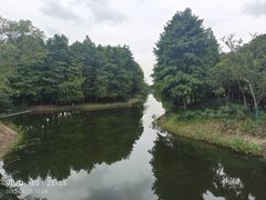 -贡湖湾湿地公园