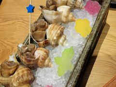 -松涛日本料理