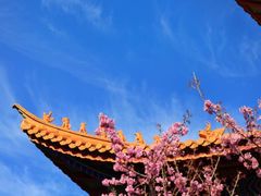 -崇圣寺三塔文化旅游区