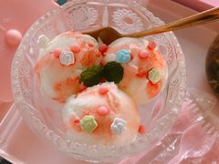 -喵屿·大理花园猫咖