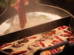 -大龙燚·旷野鲜火锅(广州首店)
