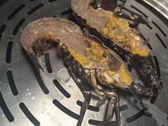 -青蓬蒸汽海鲜·深圳老字号·团建聚会(壹方城店)