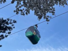 -崂山仰口游览区