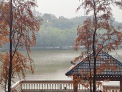 -三水森林公园
