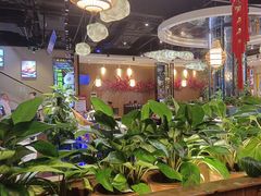 -龙泉人椰子鸡·糟粕醋·地标海南菜(龙昆南店)