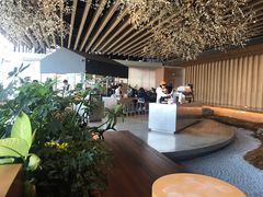 -Seesaw Coffee(朝阳大悦城店)