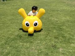 -田园东方蜜桃村的田野营地