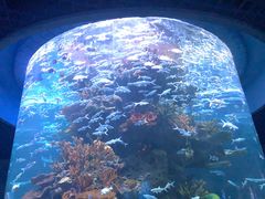 -多彩贵州城极地海洋世界