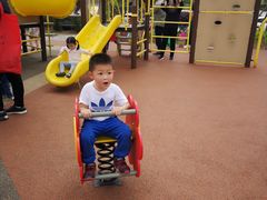 -枫香湖儿童公园