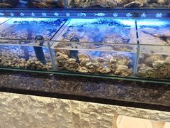 -星伦多自助料理·涮烤一体(奉贤龙湖天街店)