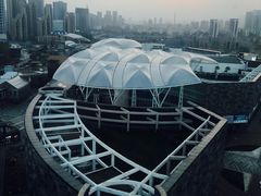 -琴岛之星摩天轮