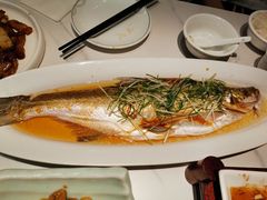 清蒸太湖野生大白鱼-梅飞酒家(名辉豪庭店)
