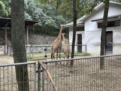 -杭州动物园