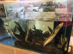 -本炙炭烤·蒲烧活鳗料理店(金沙洲店)
