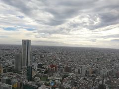 -东京都厅舍