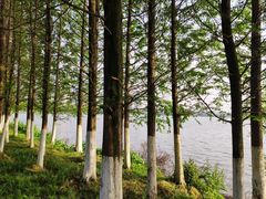 -南昌青山湖风景区