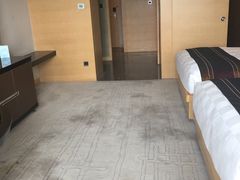 -河源万绿湖美思威尔顿酒店