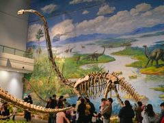 -自贡恐龙博物馆