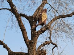-北京西山国家森林公园