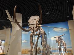 -国家自然博物馆