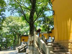 -灵岩山风景区