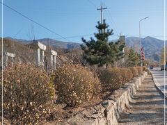 -双龙峡