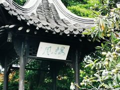 -何园