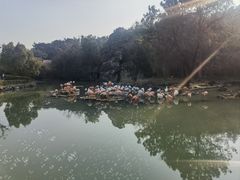 -宁波野生动物园