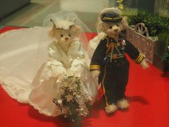 -济州岛泰迪熊博物馆