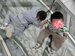 -陕西自然博物馆