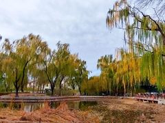 -玲珑塔公园