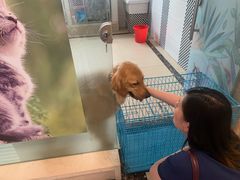 -派特宠物医院(圆融广场店)