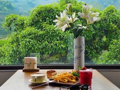 -南山植物园